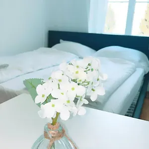 Deluxe Double Kp Apartament